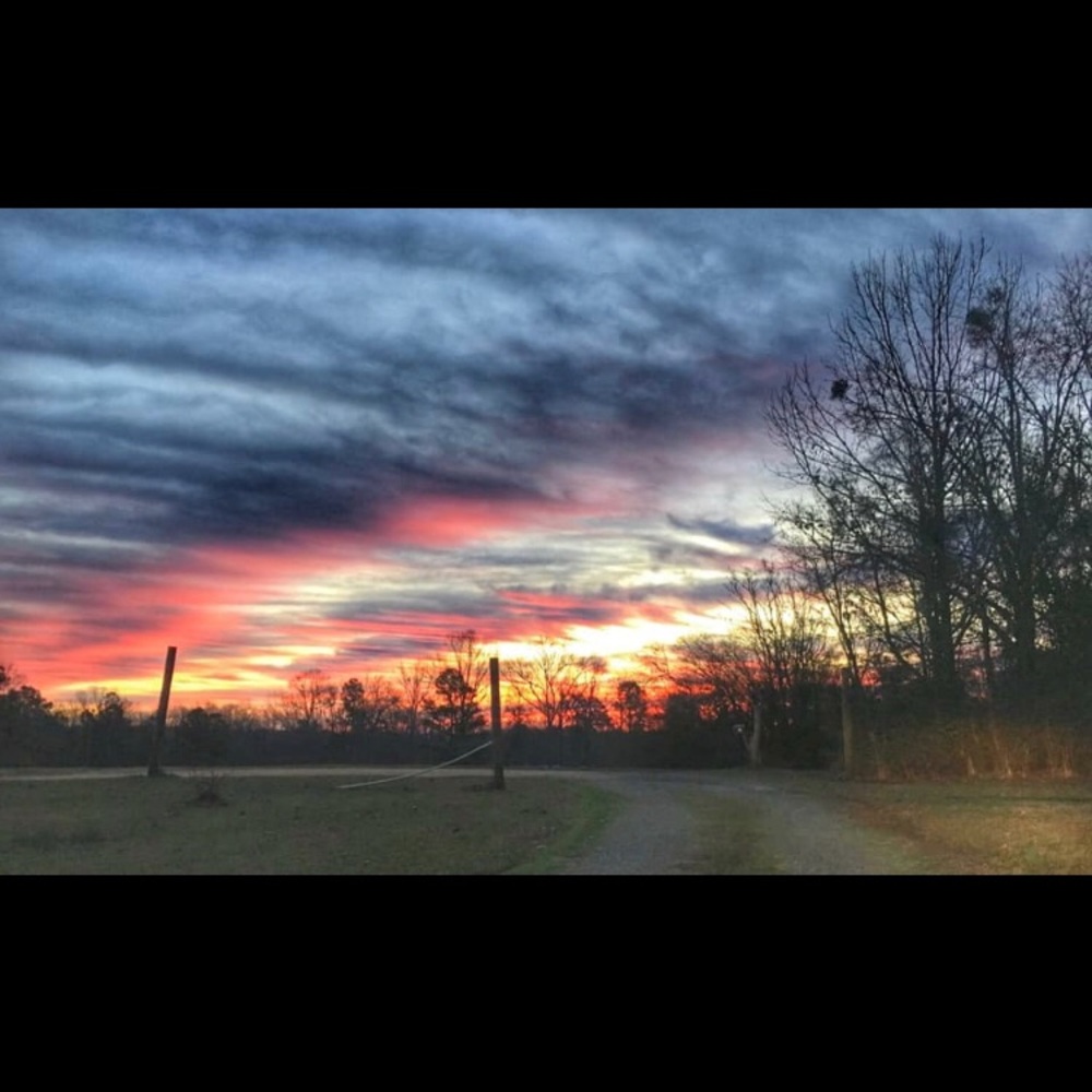 Meet your Posher, Kellie